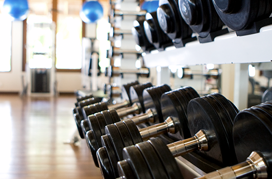 Fitness weights placed neatly on a rack