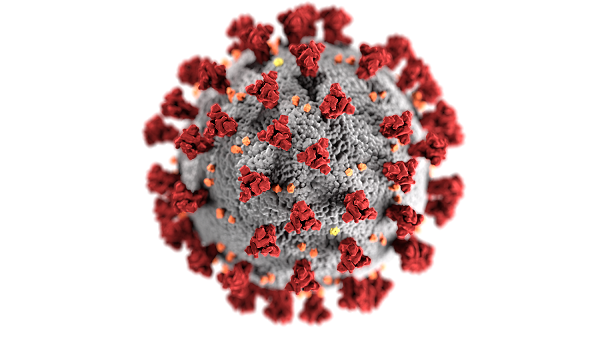 3D rendering of a virus with red spike proteins on a gray spherical surface, representing the COVID-19 virus.