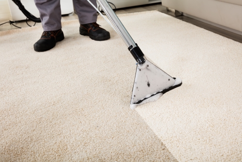 Professional cleaning a beige carpet with a steam cleaner, showing a path of clean carpet.