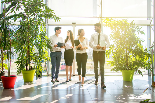 Four professionals walking through a sunlit office hallway with large potted plants, holding folders and conversing.