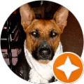 Kari Pigott Avatar